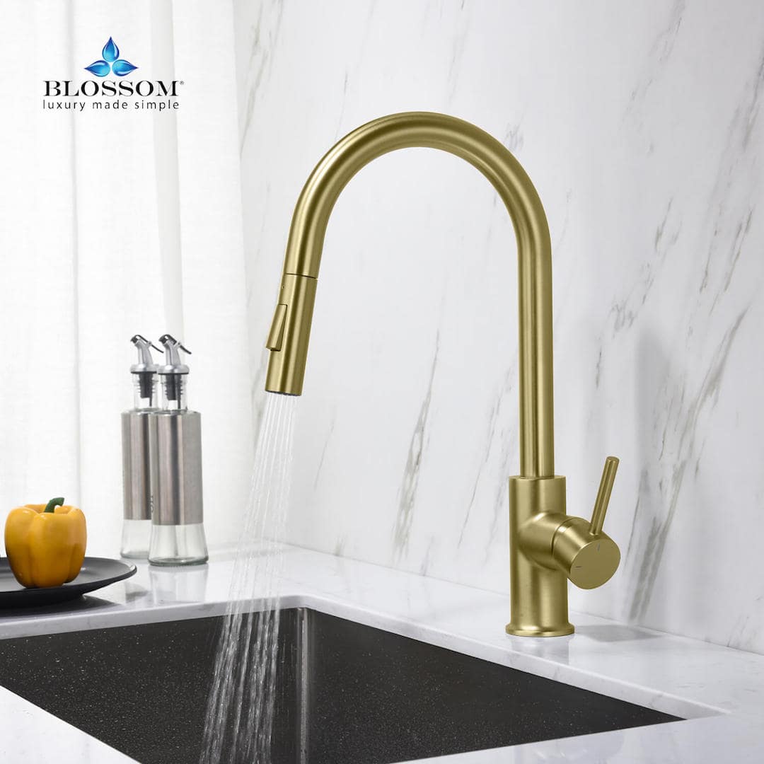 Kitchen Faucet - Single Handle Pull Down Kitchen Faucet - Brush Gold - Molaix842708117617Kitchen FaucetF01 206 06