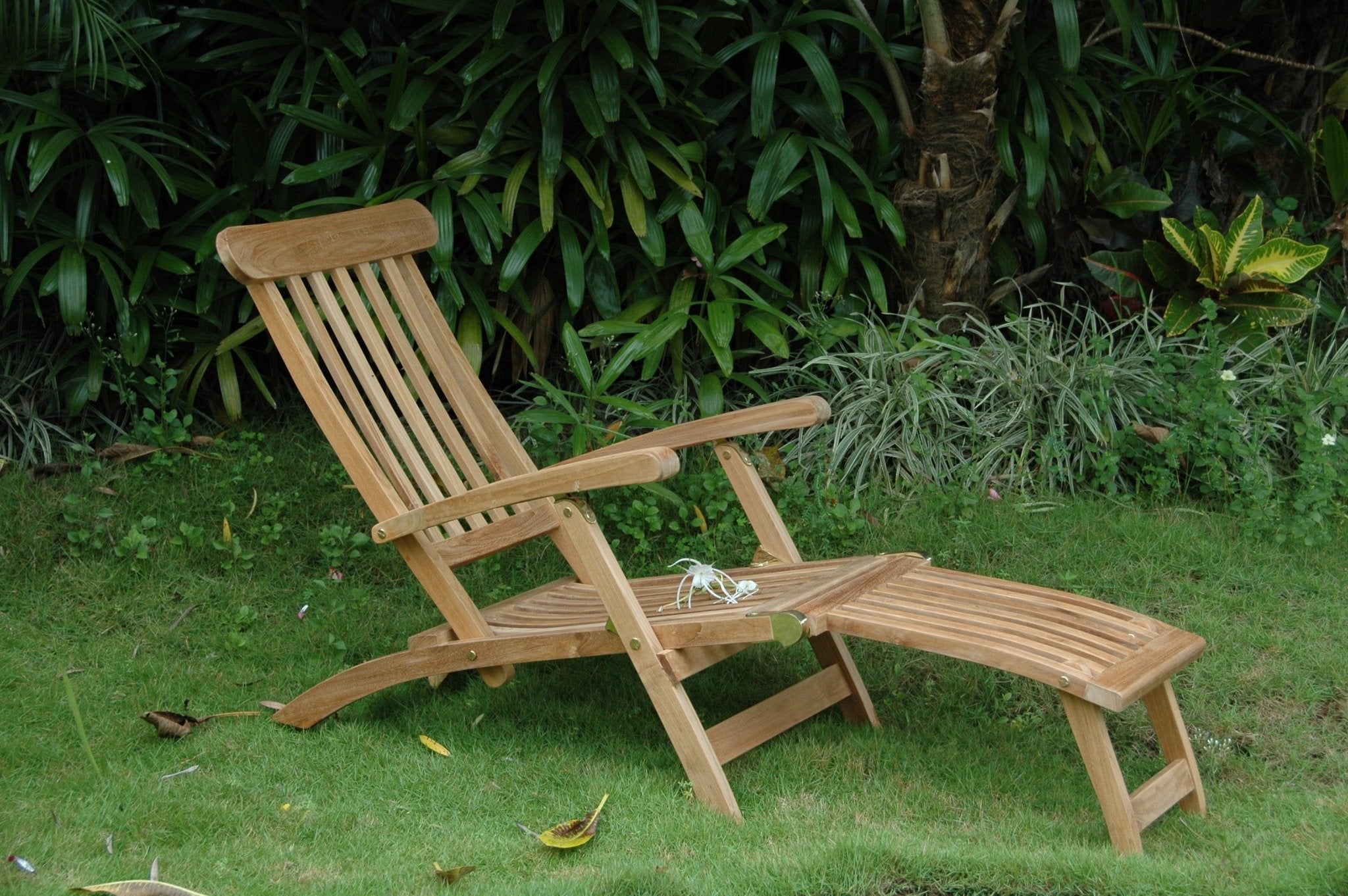 Royal Steamer Armchair - Molaix82045289503RoyalST-124