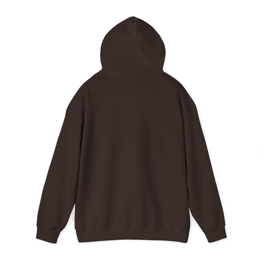 Christian Hoodie – “Elevated by Grace” Cross Sweatshirt (Colossians 3:2)