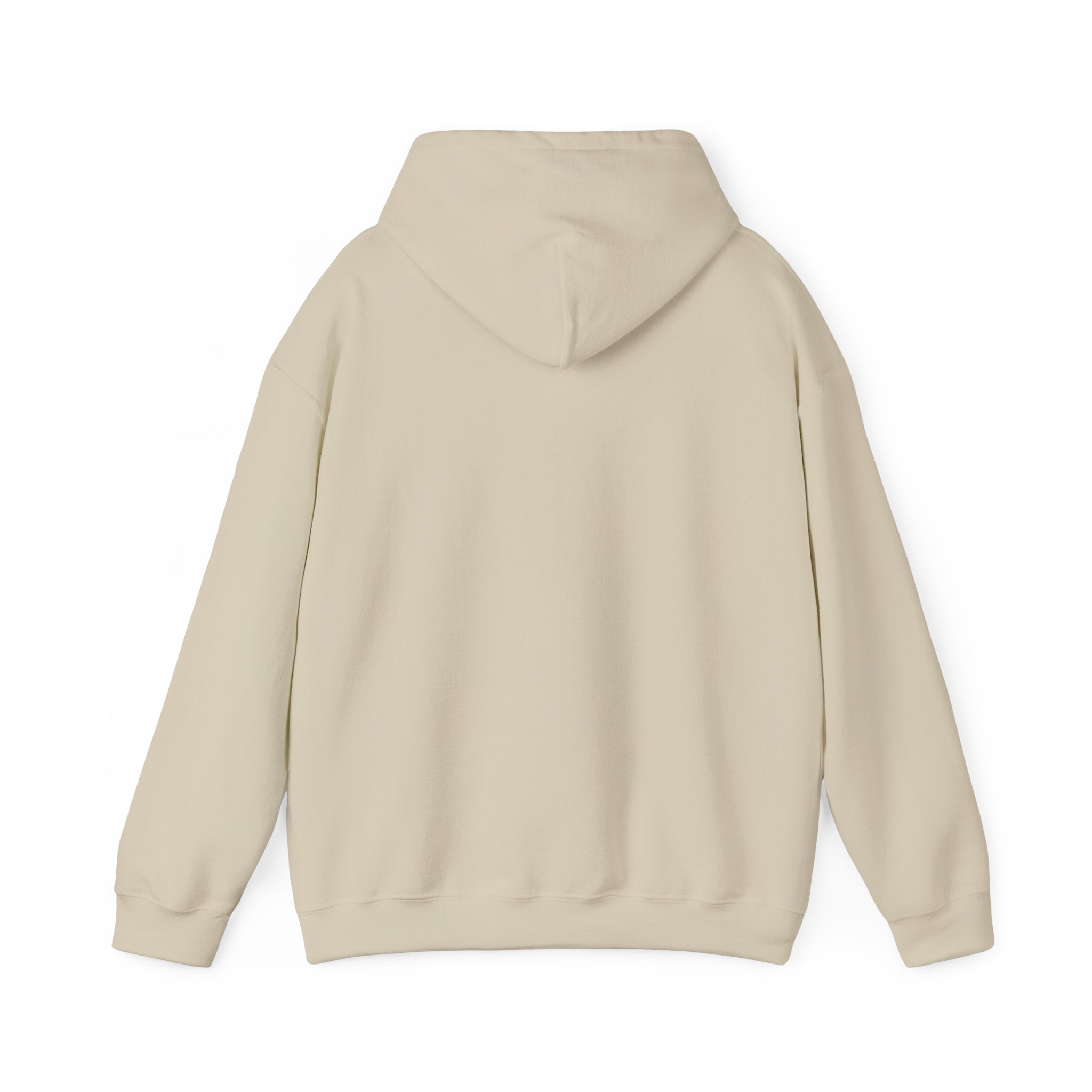Christian Hoodie – “Elevated by Grace” Cross Sweatshirt (Colossians 3:2)