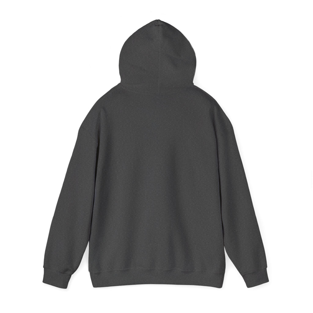 Christian Hoodie – “Elevated by Grace” Cross Sweatshirt (Colossians 3:2)