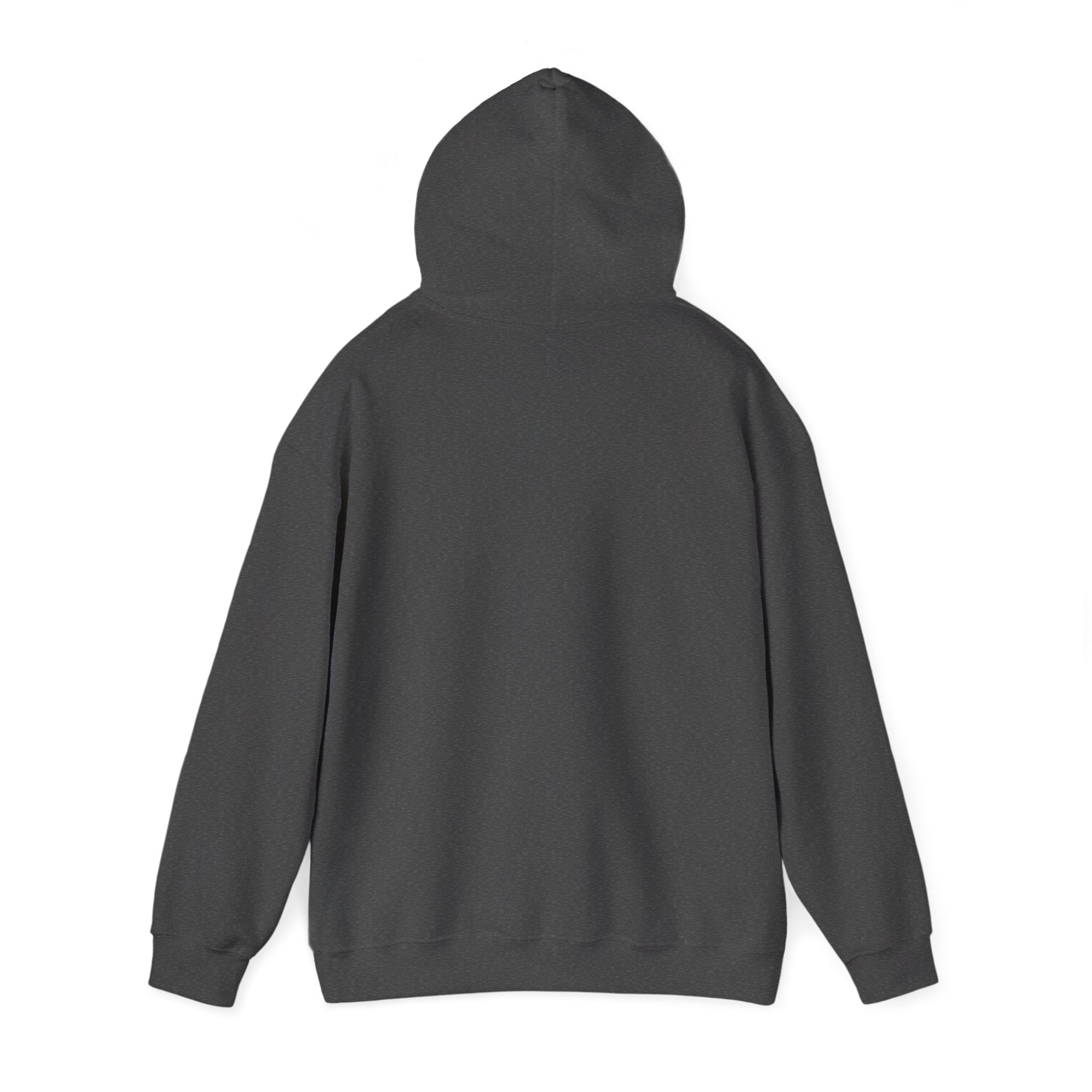 Christian Hoodie – “Elevated by Grace” Cross Sweatshirt (Colossians 3:2)