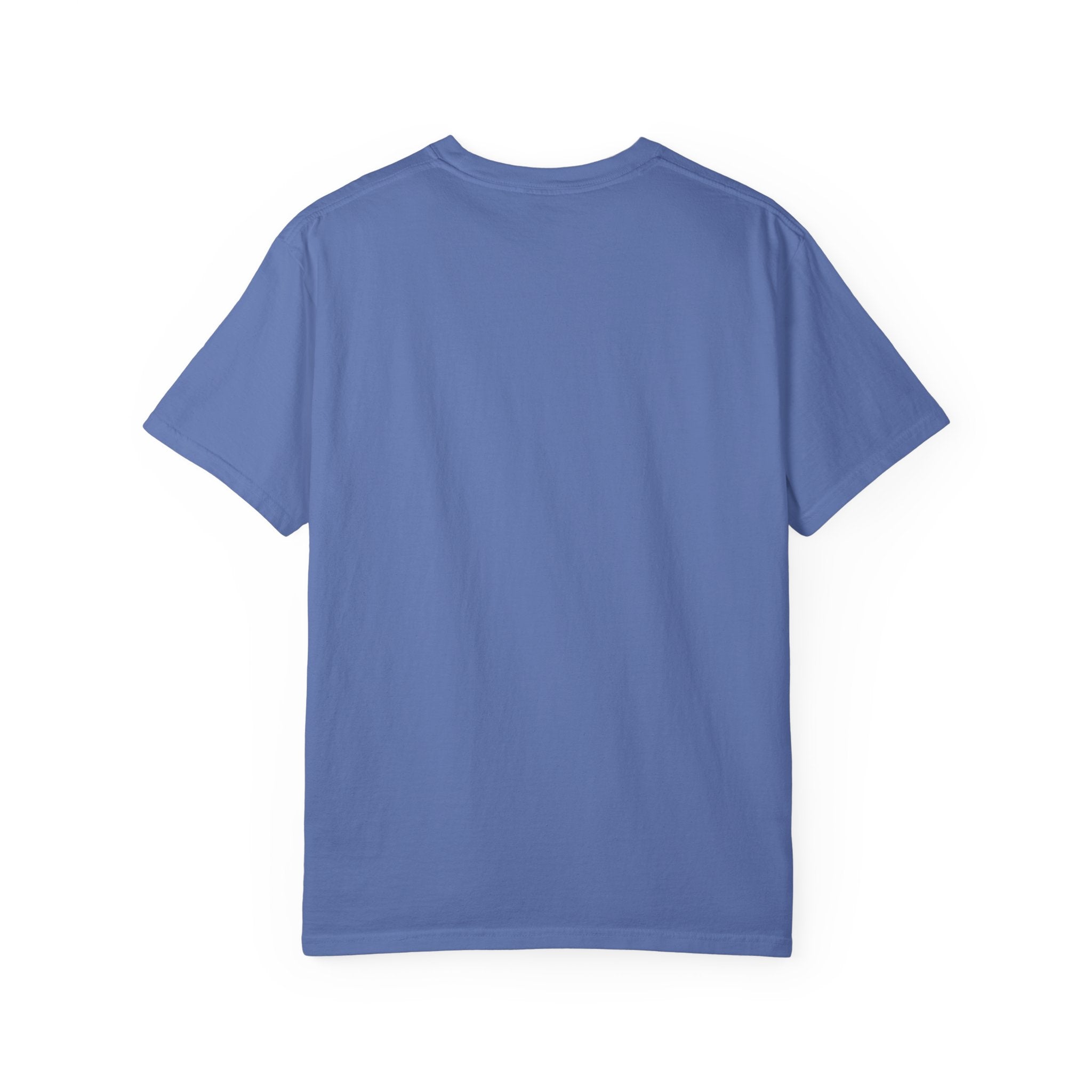 Trust the Next Chapter T-Shirt — "I Trust the Next Chapter Because I Know The Author" Christian Faith Tee