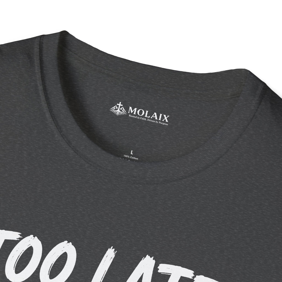 Too Late Satan T‑Shirt — "Grace Got Here First" Christian Faith Graphic Tee