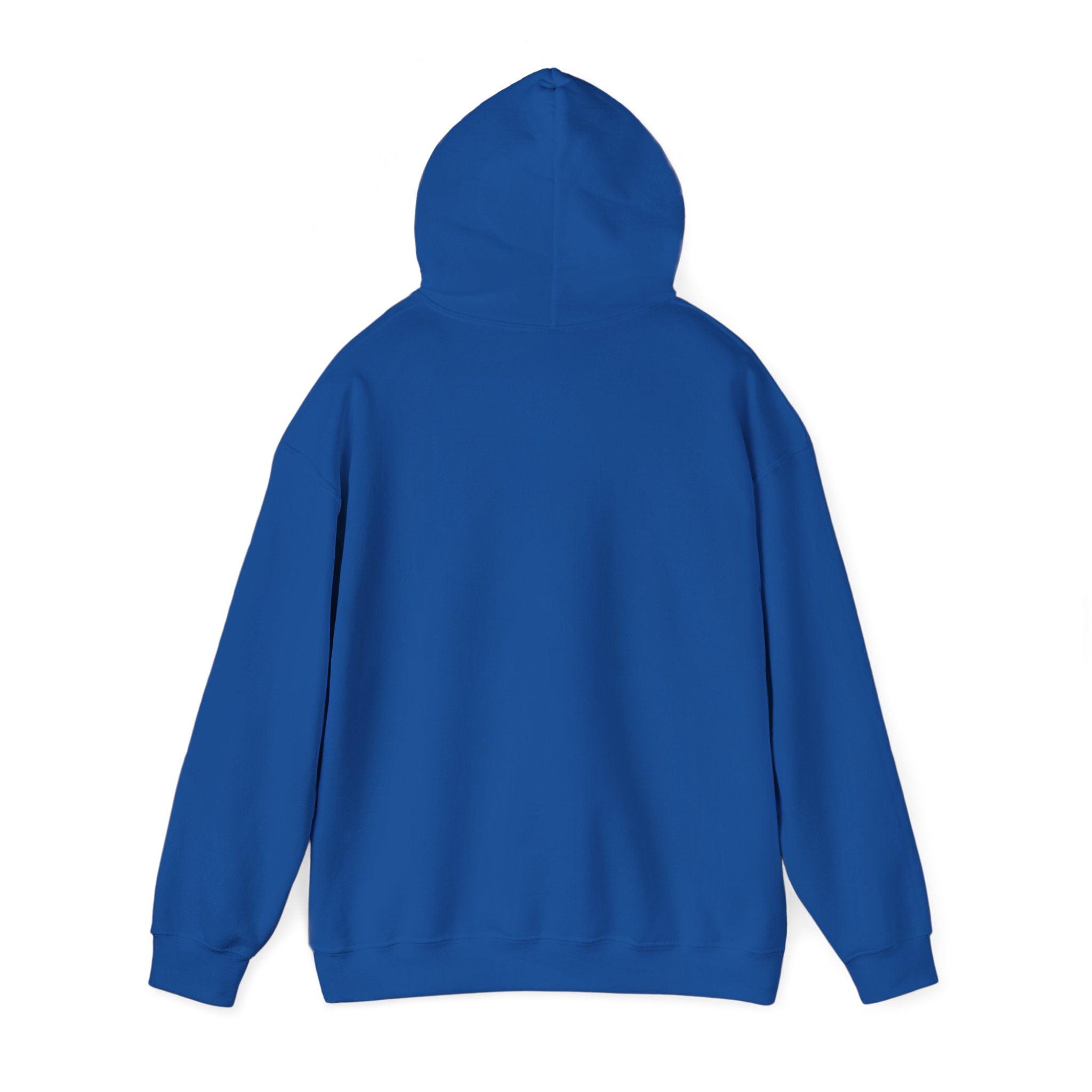 Christian Hoodie – “Elevated by Grace” Cross Sweatshirt (Colossians 3:2)