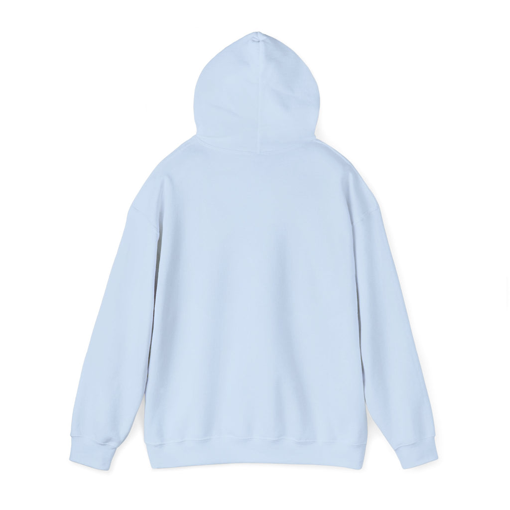 Christian Hoodie – “Elevated by Grace” Cross Sweatshirt (Colossians 3:2)
