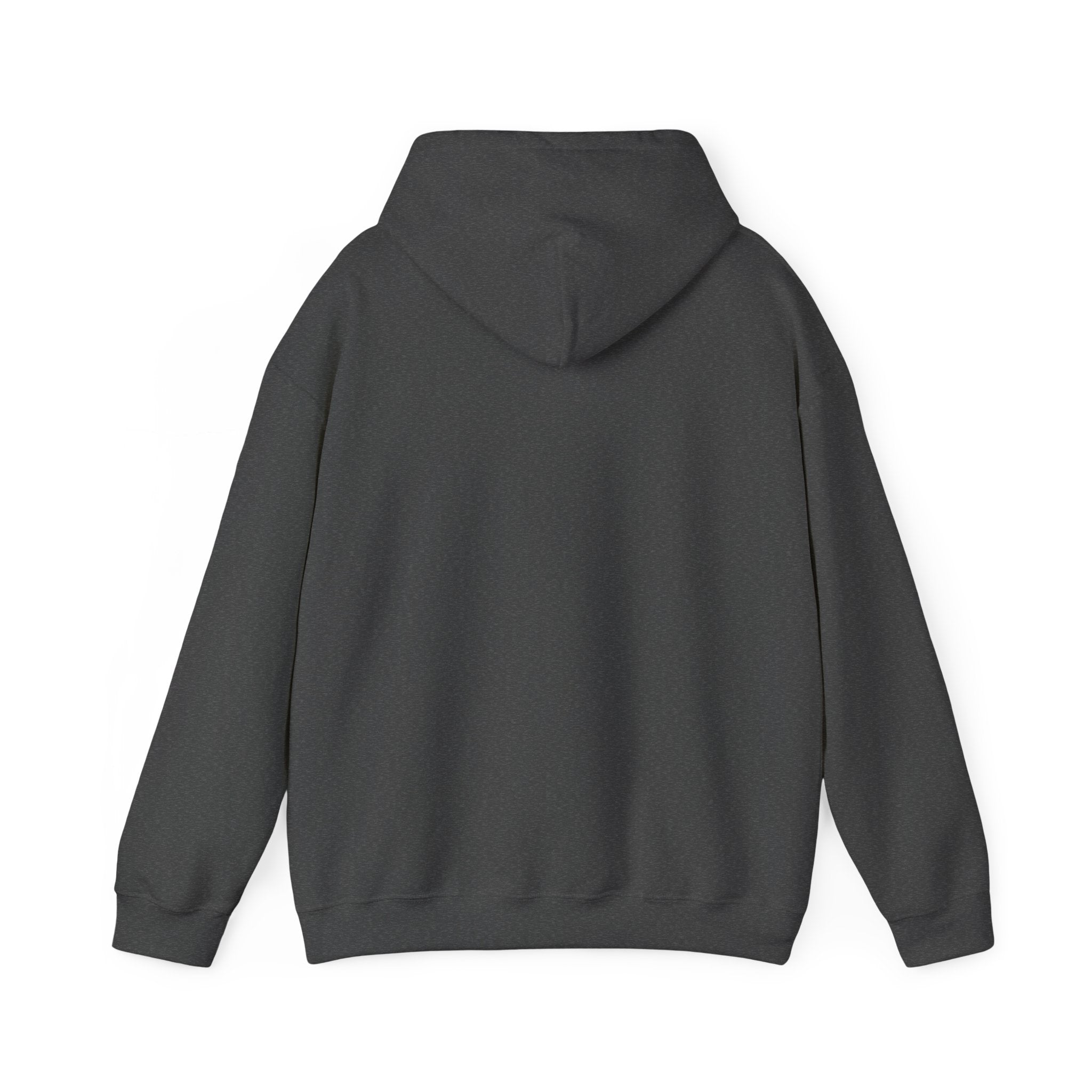 Christian Hoodie – “Elevated by Grace” Cross Sweatshirt (Colossians 3:2)