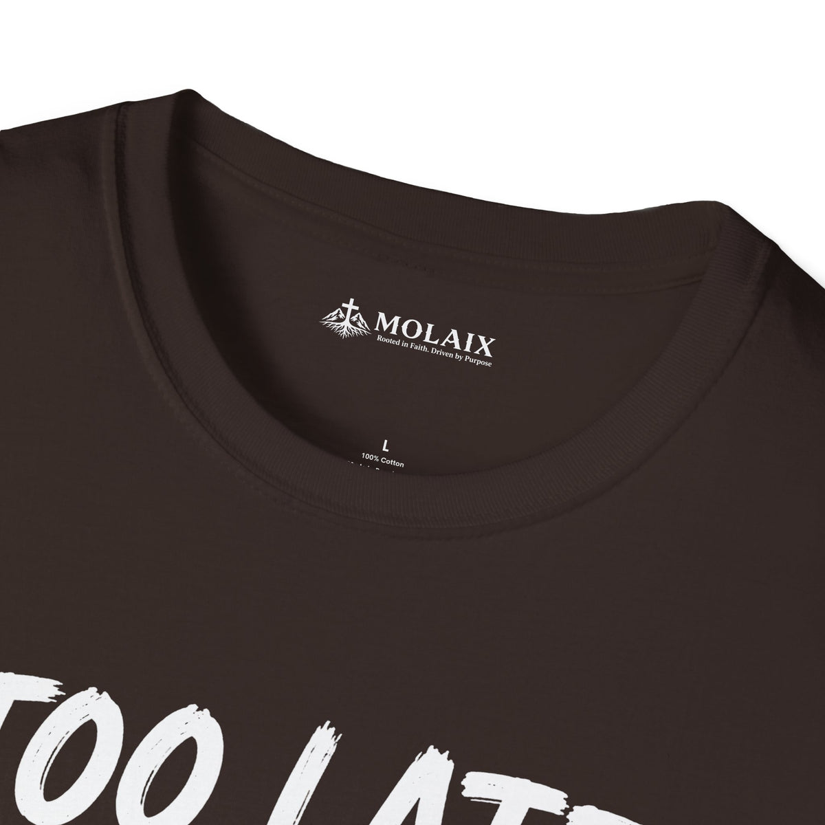 Too Late Satan T‑Shirt — "Grace Got Here First" Christian Faith Graphic Tee