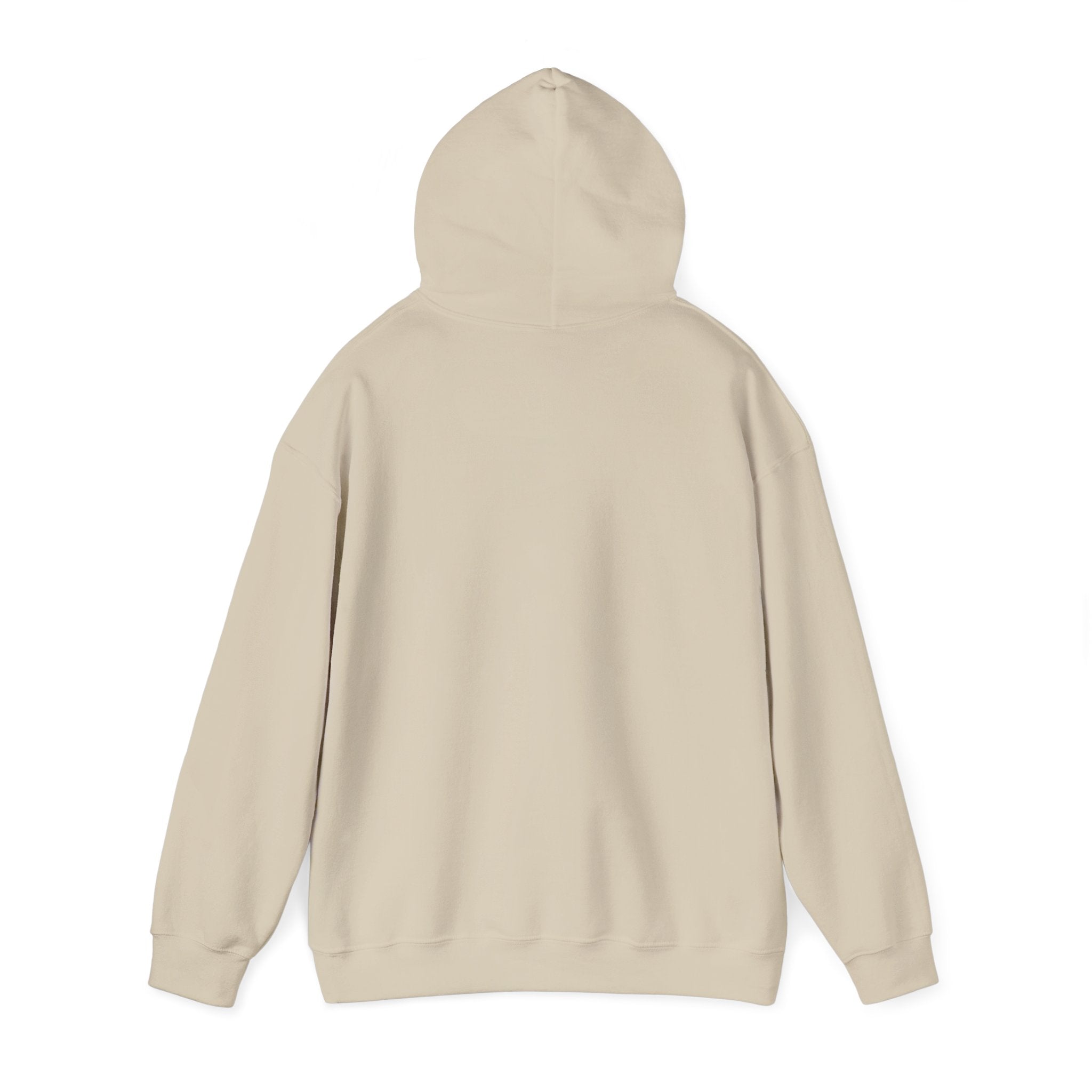 Christian Hoodie – “Elevated by Grace” Cross Sweatshirt (Colossians 3:2)