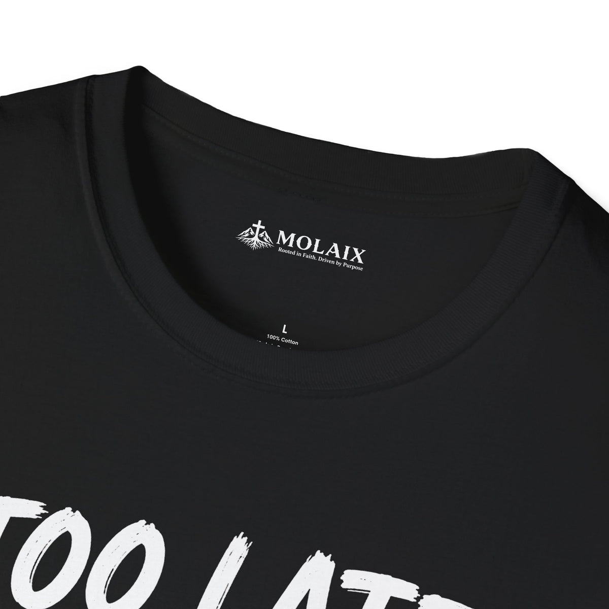 Too Late Satan T‑Shirt — "Grace Got Here First" Christian Faith Graphic Tee