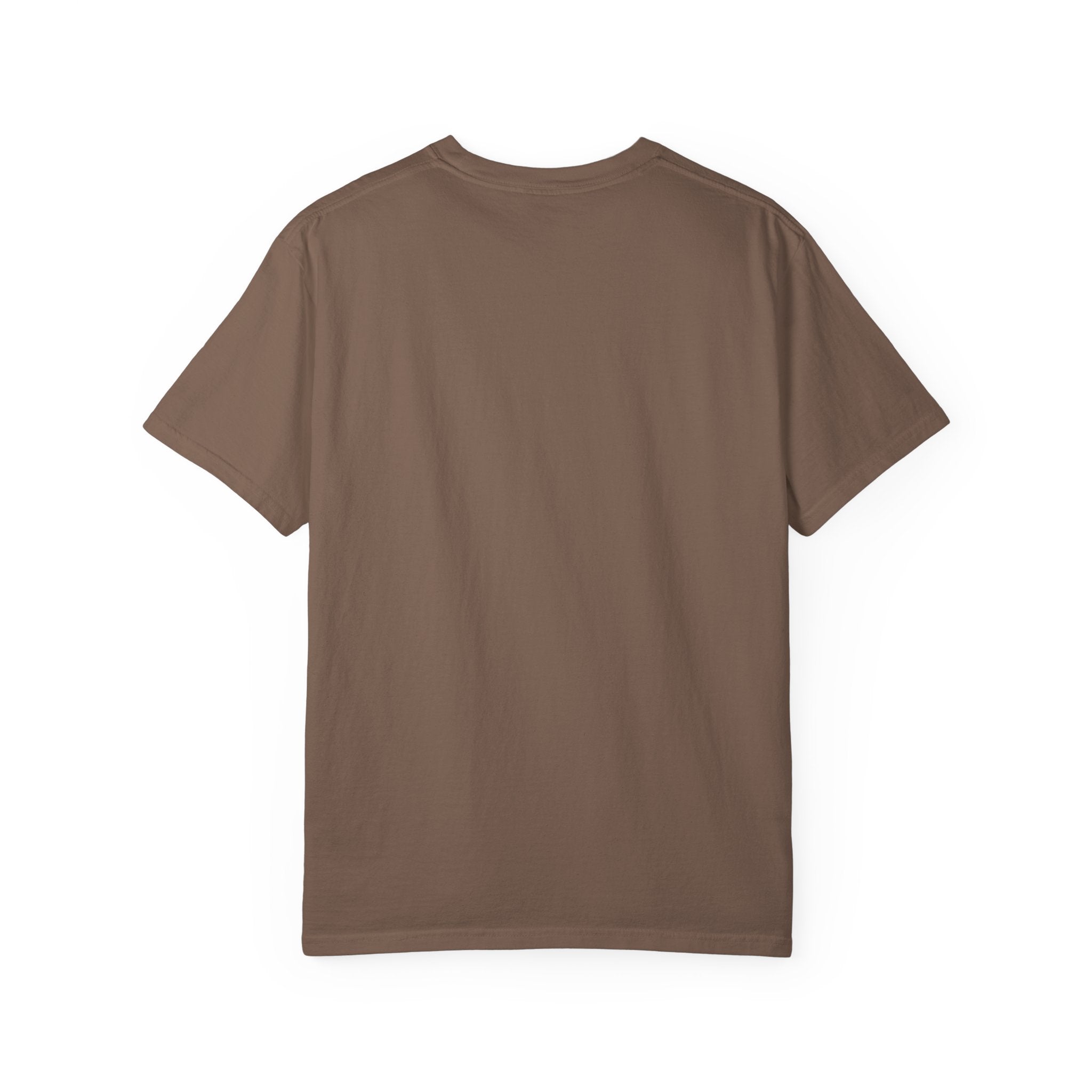 Trust the Next Chapter T-Shirt — "I Trust the Next Chapter Because I Know The Author" Christian Faith Tee