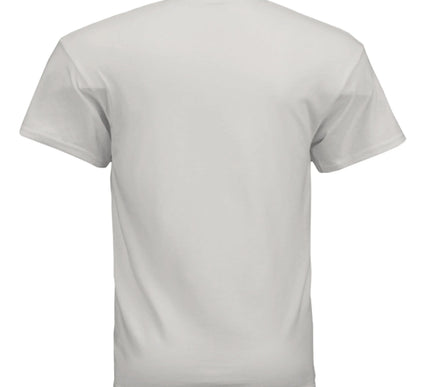 ICE GREY - BACK