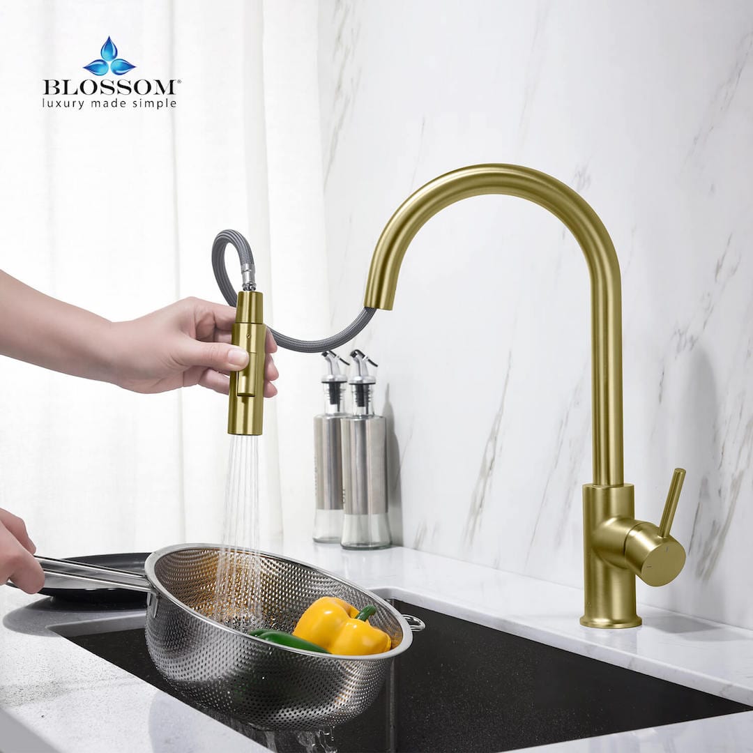 Kitchen Faucet - Single Handle Pull Down Kitchen Faucet - Brush Gold - Molaix842708117617Kitchen FaucetF01 206 06