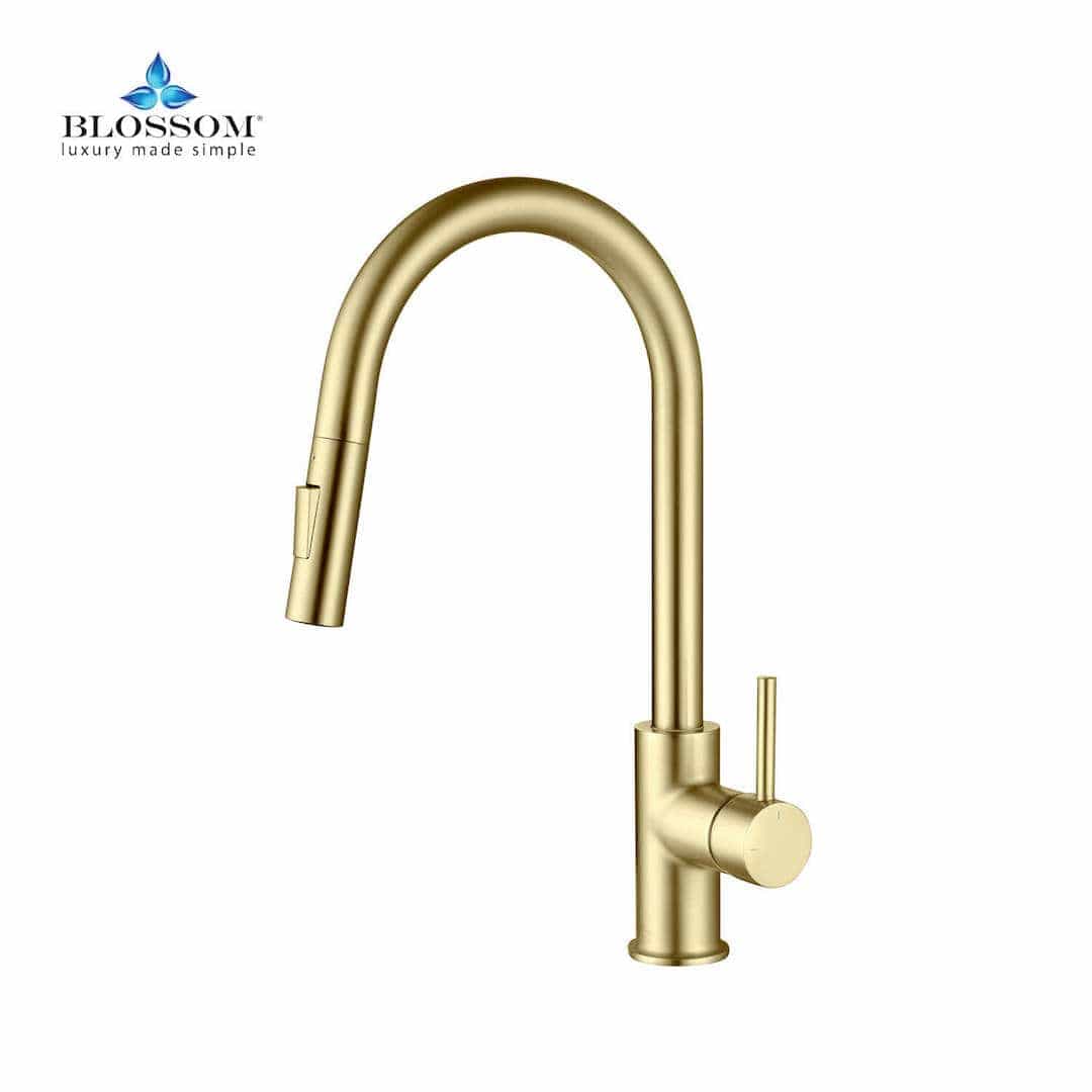 Kitchen Faucet - Single Handle Pull Down Kitchen Faucet - Brush Gold - Molaix842708117617Kitchen FaucetF01 206 06